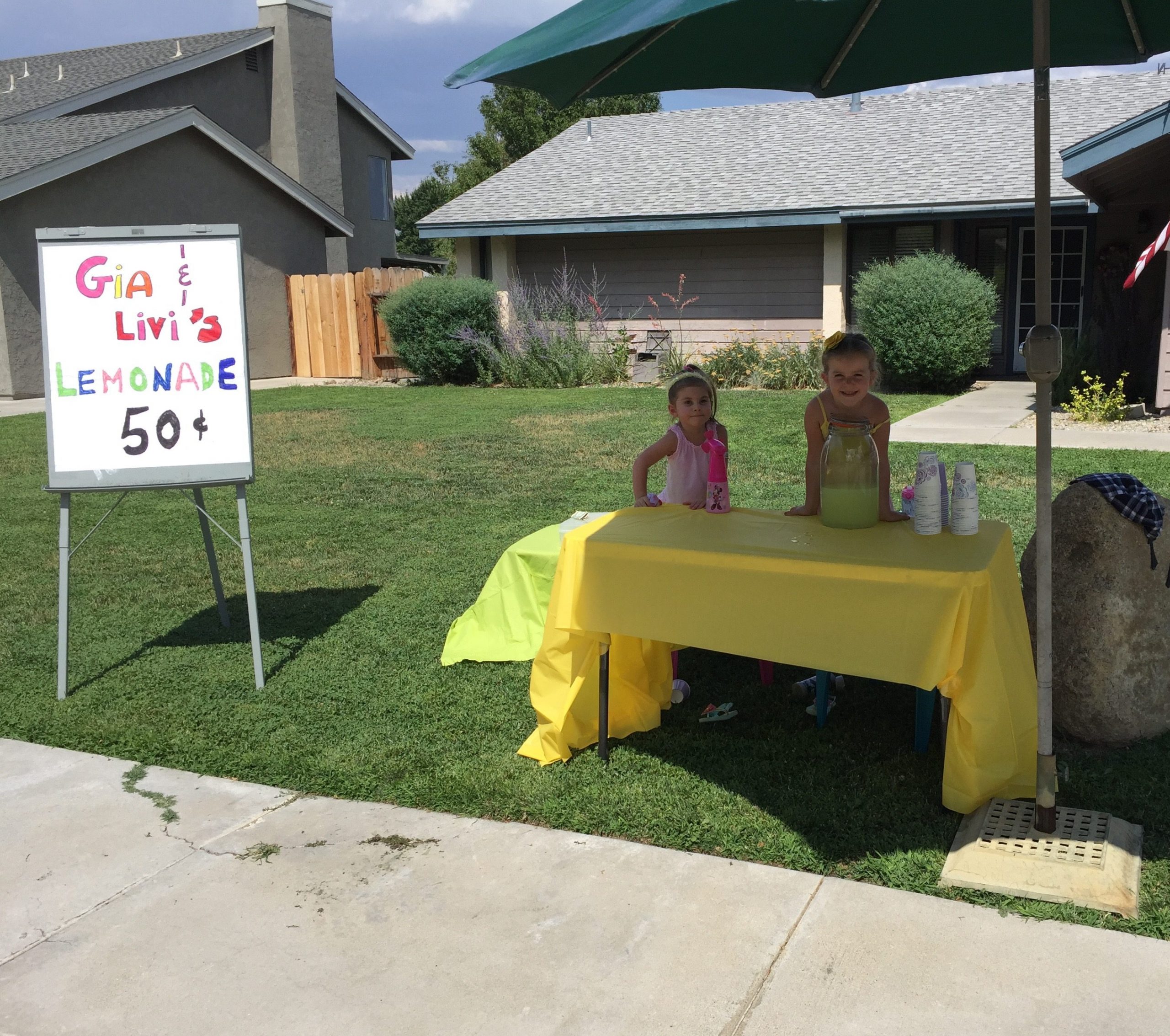 Lemonade Stand BINGO Game for Speech Therapy